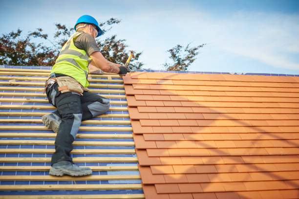 Best Roof Ventilation Installation  in North Shore, VA
