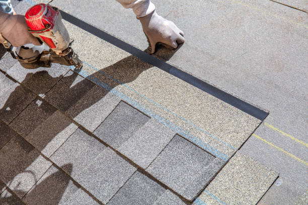 Best Green or Eco-Friendly Roofing Solutions  in North Shore, VA